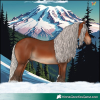 Horse Color:Silver Brown Tobiano