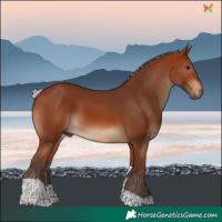 Horse Color:Silver Brown Tobiano 