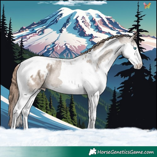 Horse Color:Classic Champagne Splash Tobiano Blanket Rabicano 