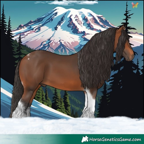 Horse Color:Bay Tobiano 