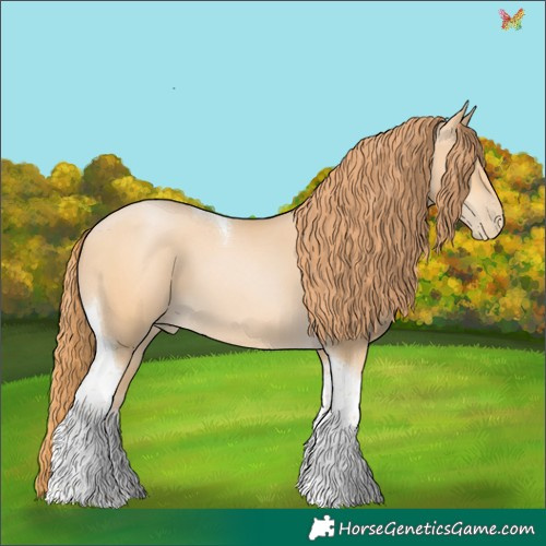 Horse Color:Buckskin Pearl Tobiano 