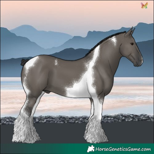 Horse Color:Grullo Tobiano 