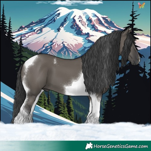 Horse Color:Grullo Tobiano 