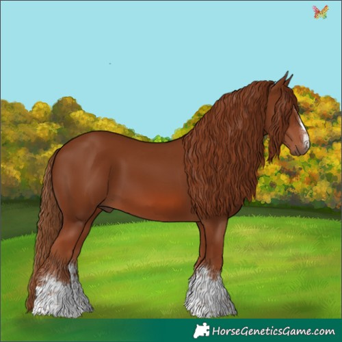 Horse Color:Chestnut 