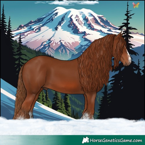 Horse Color:Chestnut 
