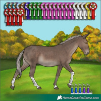 Horse Color:Silver Black Tobiano 