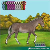 Horse Color:Silver Black Tobiano 