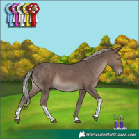 Horse Color:Silver Black Tobiano 