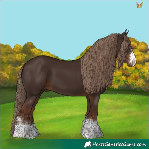 Horse Color:Liver Chestnut 