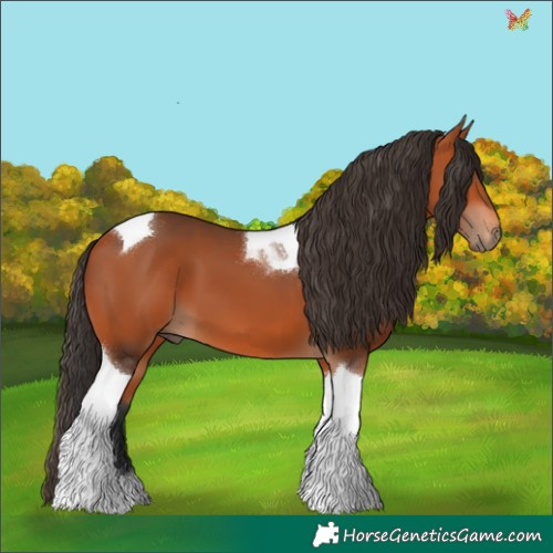 Horse Color:Bay Tobiano