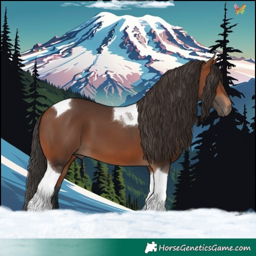 Horse Color:Bay Tobiano 