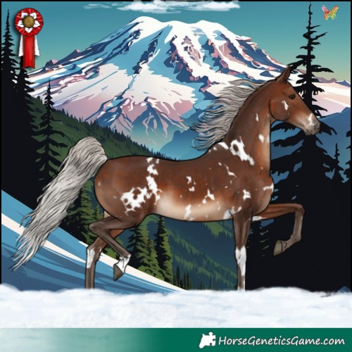 Horse Color:White Spotted Silver Brown 