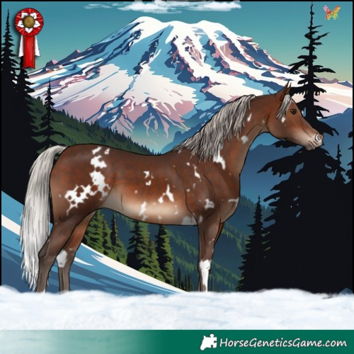 Horse Color:White Spotted Silver Brown 