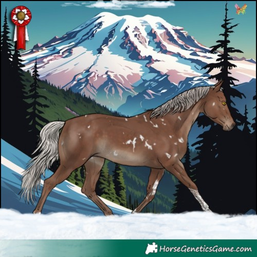 Horse Color:White Spotted Silver Black Tobiano 