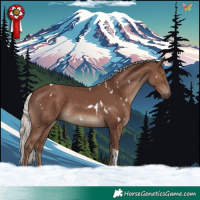 Horse Color:White Spotted Silver Black Tobiano 