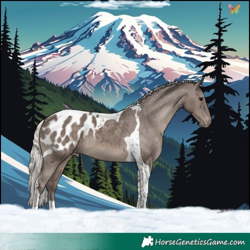 Horse Color:Silver Black Tobiano Blanket 