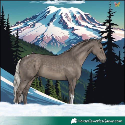 Horse Color:Silver Black Tobiano 