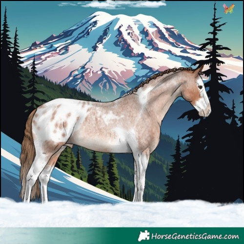 Horse Color:Red Roan Splash Tobiano Blanket Rabicano 