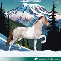 Horse Color:Red Roan Tobiano Rabicano