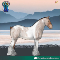 Horse Color:Red Roan Tobiano Rabicano 