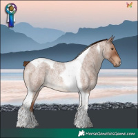 Horse Color:Red Roan Tobiano Rabicano
