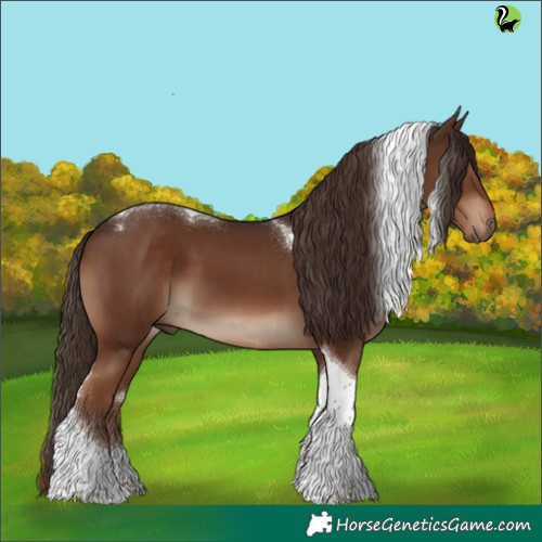 Horse Color:Liver Chestnut Tobiano 