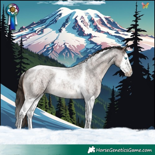 Horse Color:Liver Red Roan Splash Tobiano Rabicano 
