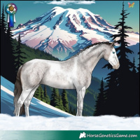 Horse Color:Liver Red Roan Splash Tobiano Rabicano 