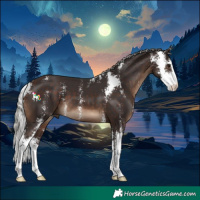 Horse Color:Silver Brown Sabino 