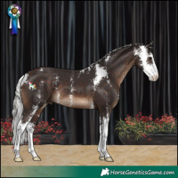 Horse Color:Silver Brown Sabino