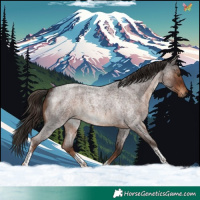 Horse Color:Liver Red Roan Tobiano