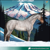 Horse Color:Liver Red Roan Tobiano 
