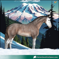Horse Color:Liver Red Roan Splash