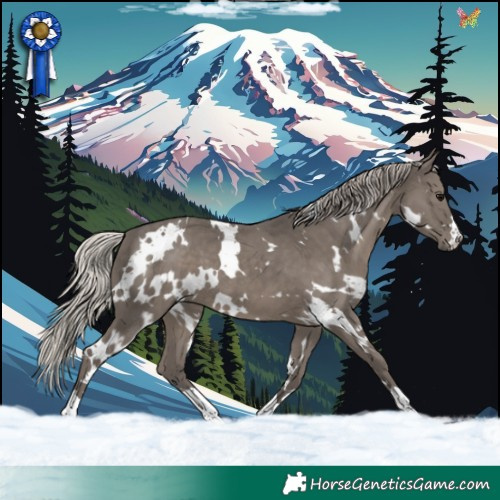 Horse Color:White Spotted Silver Black 