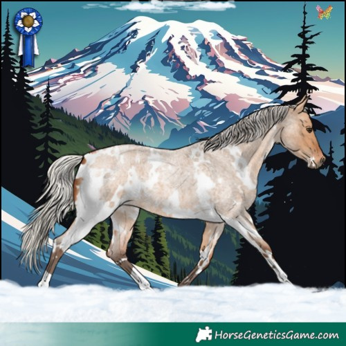 Horse Color:White Spotted Silver Bay Roan Dun 