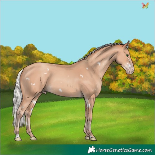 Horse Color:White Spotted Silver Amber Champagne 