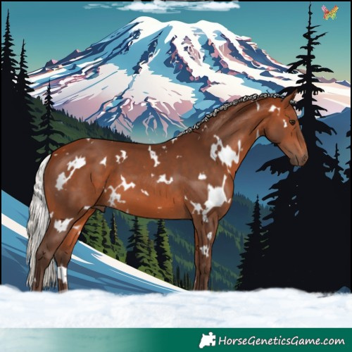 Horse Color:White Spotted Silver Brown 