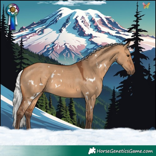Horse Color:White Spotted Silver Bay Dun 
