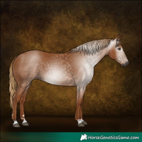 Horse Color:Gray Chestnut