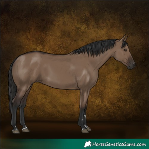 Horse Color:Liver Red Dun Rabicano 