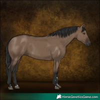 Horse Color:Liver Red Dun Rabicano