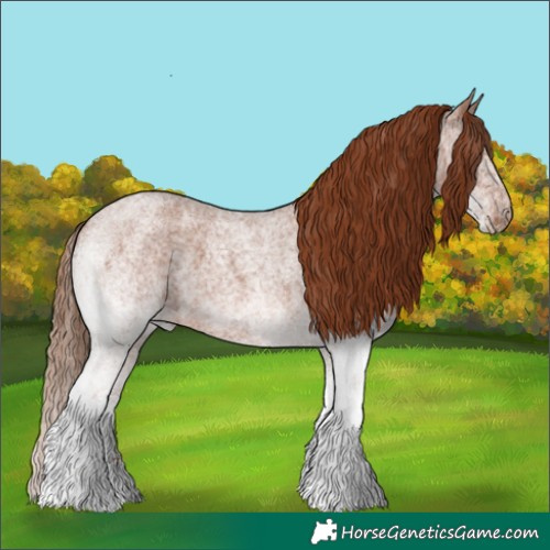 Horse Color:White Spotted Red Roan 