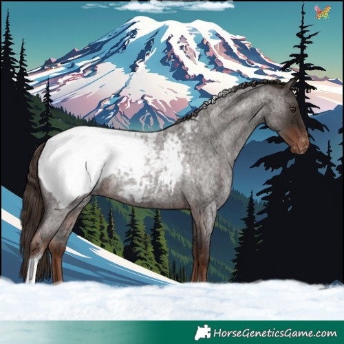Horse Color:Liver Red Roan Tobiano Snowcap