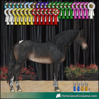 Horse Color:Brown Tobiano 