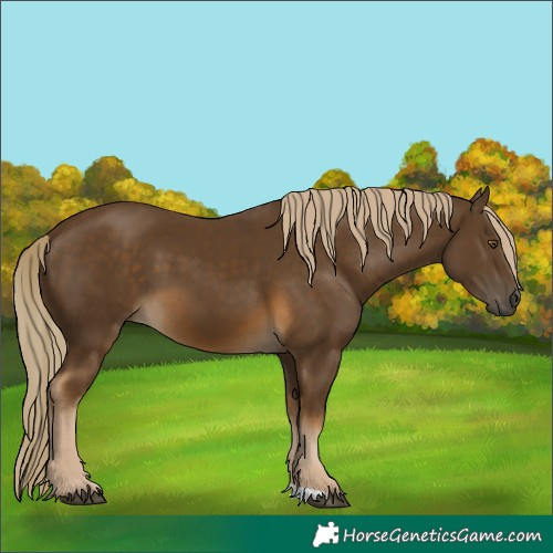 Horse Color:Chocolate Palomino