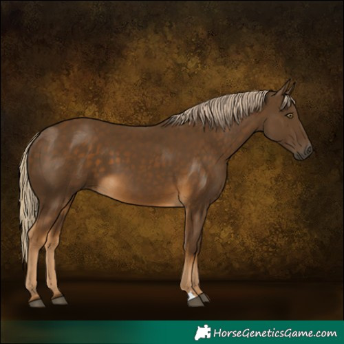 Horse Color:Chocolate Palomino 