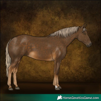 Horse Color:Chocolate Palomino