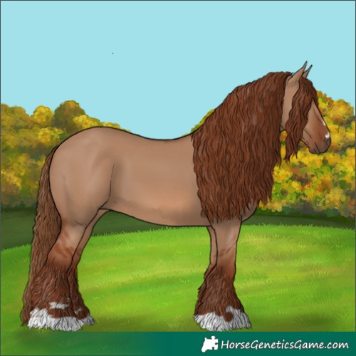 Horse Color:Red Dun