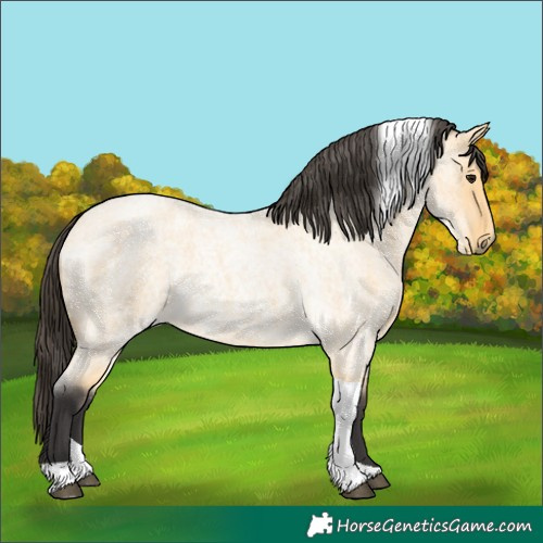 Horse Color:Buckskin Roan Tobiano