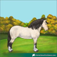Horse Color:Buckskin Roan Tobiano 